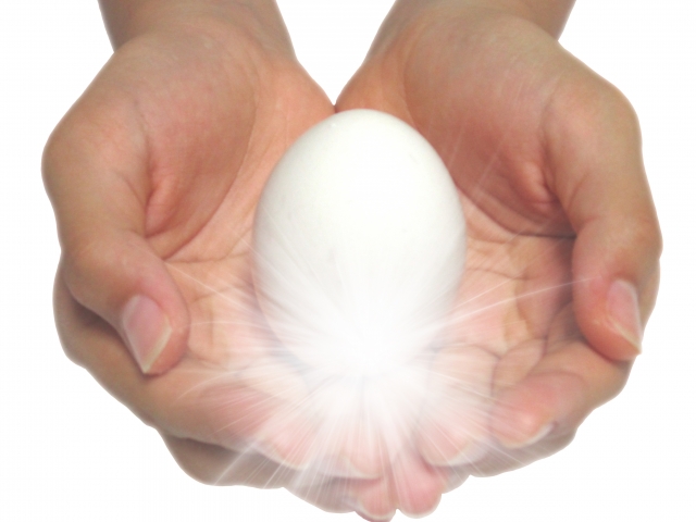 卵殻膜パックに使う卵